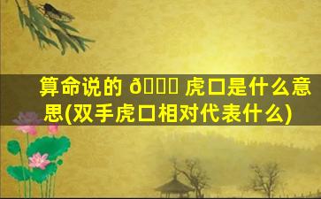 算命说的 🕊 虎口是什么意思(双手虎口相对代表什么)